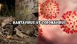 Hantavirus Vs Coronavirus: Transmission, Symptoms, Mortality, and What You Need To Know