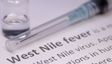 West Nile Fever Alert In Kerala: Causes, Symptoms, Treatment, And Prevention Guide