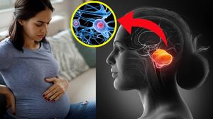 Pregnancy Brain क्या होता है | Pregnancy Brain Symptoms and Treatment