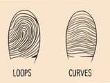 আঙুলের ছাপ দেখে যে কোনও মানুষের চরিত্র সম্পর্কে জেনে নেওয়া যায়, সে সম্পর্কে জানা ছিল কি?
