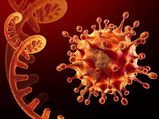 Coronavirus: ওমিক্রন BA.2-র পরে এবার BA.3-র খোঁজ মিলল! কতটা ভয়ঙ্কর এই সাব-ভ্যারিয়েন্ট?
