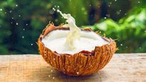 Coconut Milk Benefits: ইমিউনিটি বাড়ানো থেকে হার্ট সুস্থ রাখা, হাজারো সমস্যার সমাধান লুকিয়ে নারকেল দুধে!