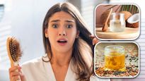 Hair Fall: অত্যধিক চুল পড়ছে? ঘরে তৈরি এই তেল মালিশেই ফিরবে ঘন কালো চুল!