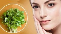 ত্বকের ঔজ্জ্বল্য বাড়াতে একাই একশো ধনে পাতা! কী ভাবে ব্যবহার করবেন?