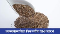 প্রচণ্ড গরমে শরীর ঠাণ্ডা রাখতে খান সুপারফুড চিয়া সিড!