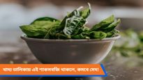 ওজন কমাতে চান? ট্রাই করুন গ্রীষ্মকালীন এই শাকসবজি