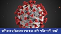 নতুন করে কোভিড-সংক্রমণ শুরু মহারাষ্ট্রে, করোনার নয়া ভ্যারিয়্যান্ট 'ফ্লার্ট' নিয়ে সতর্কতা