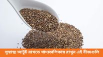 ডায়াবেটিস থেকে হার্টের স্বাস্থ্য, এই বীজগুলিতেই লুকিয়ে আছে যেকোনও সমস্যার সমাধান 