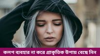 ২৫ এর আগেই পাকা চুল? ভরসা রাখুন এই ঘরোয়া উপায়ে, ফিরে পান মিশমিশে কালো চুল