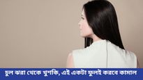 সপ্তাহে একবার এই ফুলের ব্যবহারেই মিলবে ঘন-লম্বা চুল, বাড়বে বাহার!