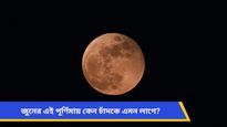 বিরল মহাজাগতিক দৃশ্য! আকাশে জ্বলজ্বল করবে 'স্ট্রবেরি মুন', কীভাবে দেখবেন জানুন 