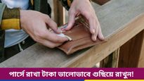 মানিব্যাগে ছবি, পুরনো বিল? আপনার অজান্তেই মা লক্ষ্মী হচ্ছেন রুষ্ট! সাবধান