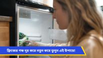 স্যাঁতস্যাঁতে বর্ষায় ফ্রিজ খোলার উপায় নেই, দুর্গন্ধ কাটান এই ঘরোয়া টোটকায়! 