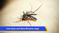 বর্ষাকালে মশার কামড়ে অতিষ্ট? জেনে নিন এই সমস্যা থেকে বাঁচার সহজ ও কার্যকরী টিপস!   