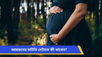 গর্ভাবস্থায় আয়রনের ঘাটতি হলেই দেখা দিতে পারে জটিল সমস্যা! মা ও শিশুর সুস্বাস্থ্যের জন্য ডায়েটে অন্তর্ভুক্ত 