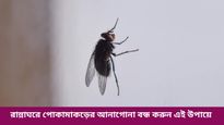  বর্ষায় পোকামাকড়ের উপদ্রব, খাবার ভালো রাখতে কী করবেন, রইল কিচেন টিপস 