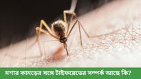 বর্ষাকালে বেড়েছে টাইফয়েডের ঝুঁকি! জেনে নিন এর মূল কারণ ও লক্ষণগুলি     