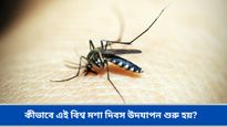 আজ 'বিশ্ব মশা দিবস', এই দিবসের মাহাত্ম্য ও ইতিহাস জেনে নিন   