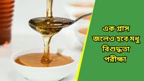 মধু ভেজাল না খাঁটি? ব্র্যান্ডেড হলেও মধু খাঁটি কিনা চিনে নিন এই সহজ পদ্ধতিতে   
