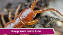 বর্ষায় যত্রতত্র বিছে ঘুরে বেরাচ্ছে, বাড়ি থেকে এদের দূর করতে এই পাতাগুলির বিকল্প নেই! 