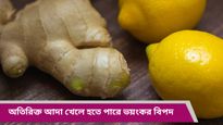 গর্ভবতী মহিলারা ভুলেও খাবেন না অতিরিক্ত পরিমাণে আদা, পার্শ্বপ্রতিক্রিয়া জানলে চমকে উঠবেন 