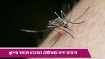 বর্ষা আসতেই মশার হামলা শুরু, খরচ না করেই ঘর মশামুক্ত রাখার প্রাকৃতিক উপায় জানুন
