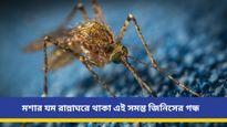 বর্ষাকালে মশার সমস্যায় অস্থির? রাসায়নিক দ্রব্য নয় ঘরোয়া প্রতিকারেই পাবেন নিস্তার 