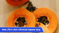 গর্ভাবস্থায় পেঁপে খাওয়া কি নিরাপদ? বেড়ে যেতে পারে গর্ভপাতের সম্ভাবনা! জানুন বিশেষজ্ঞদের মত 