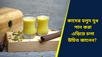 Side Effects of Turmeric Milk: হলুদ দুধ রোজ রাতে খাচ্ছেন? শুধু উপকারিতা নয়, পার্শ্ব-প্রতিক্রিয়াও জানা দরকার
