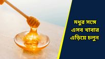 Honey Side Effects: 'মহৌষধি' হলেও এসব খাবারের সঙ্গে ভুলেও মেশাবেন না মধু, হতে পারে বিষের সমান!   