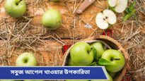 Green Apple: হার্ট সুস্থ রাখার সঙ্গেই ওজন কমাতেই সহায়ক এই ফল, উপকারিতা শুনলে চমকে উঠবেন 