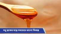 Honey for skin care: কালী পুজোর আগেই ত্বকের জেল্লা ফেরাতে ভরসা রাখুন একমাত্র মধুতে, কেন জানেন?  