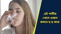Health tips: পুজোয় বেহিসেবি খানাপিনায় বেড়েছে ওজন? ডায়েটে রাখুন এই পানীয়গুলি 