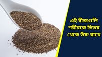 Health tips: শীতে শরীরকে সুস্থ রাখতে রোজ খান এই বীজগুলি, রয়েছে আশ্চর্যজনক উপকারিতা   