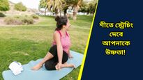 Winter health care: শীতে জয়েন্টে ব্যথা বেড়েছে? স্ট্রেচিংয়েই পাবেন সুফল, থাকবেন ফিট সারাবছর 