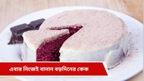 Christmas cake: বাজারের কেনা নয়, বড়দিনে বাড়িতে চটজলদি বানিয়ে ফেলুন প্লাম কেক   