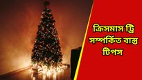 Christmas Vastu Tips: বড়দিনে ঘরে আনবেন ক্রিসমাস ট্রি? কিন্তু আগে জানুন রাখার সঠিক দিক  