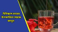 Hibiscus tea: শীতে সংক্রমণ এড়াতে ও রোগ প্রতিরোধ ক্ষমতা বাড়াতে রোজ পান করুন হিবিস্কাস চা 