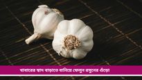 Homemade seasoning: রান্নার পর রসুনের খোসা ফেলে দেন? বাতিল হওয়া এই উপাদানই বাড়াবে স্বাদ 
