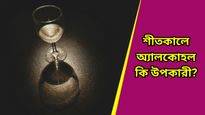 Drinking in Winter: শীতে অ্যালকোহল খেলে কি সত্যিই সর্দি-কাশির প্রকোপ কমে? কী জানাল হু