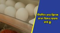 Bird flu: ফ্রিজ থেকেও ছড়াতে পারে বার্ড ফ্লু, সাবধান! জরুরি পরামর্শ দিলেন চিকিৎসকেরা 