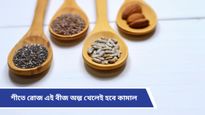 Winter seeds: নানা গুণে সমৃদ্ধ এসব বীজ, শীতে সুস্থ থাকতে অবশ্যই রাখুন ডায়েটে! 