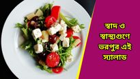 Healthy recipes: বিকেলের ছোট্ট খিদে মেটাতে বানিয়ে নিন এই স্যালাড, মুখরোচক হলেও স্বাস্থ্যকর! 