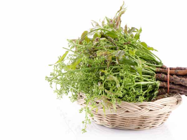 ত্বকের চর্চায় স্বাস্থ্যকর পাতা