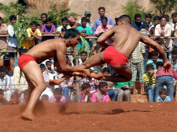 Yarim ayol yarim ilon porno