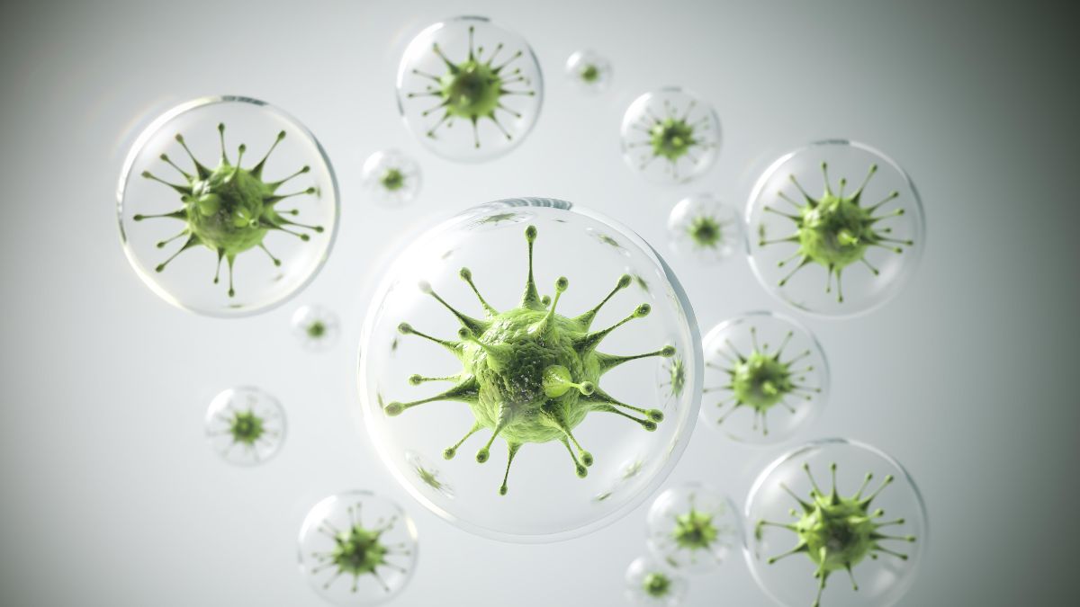 What is adenovirus What is adenovirus