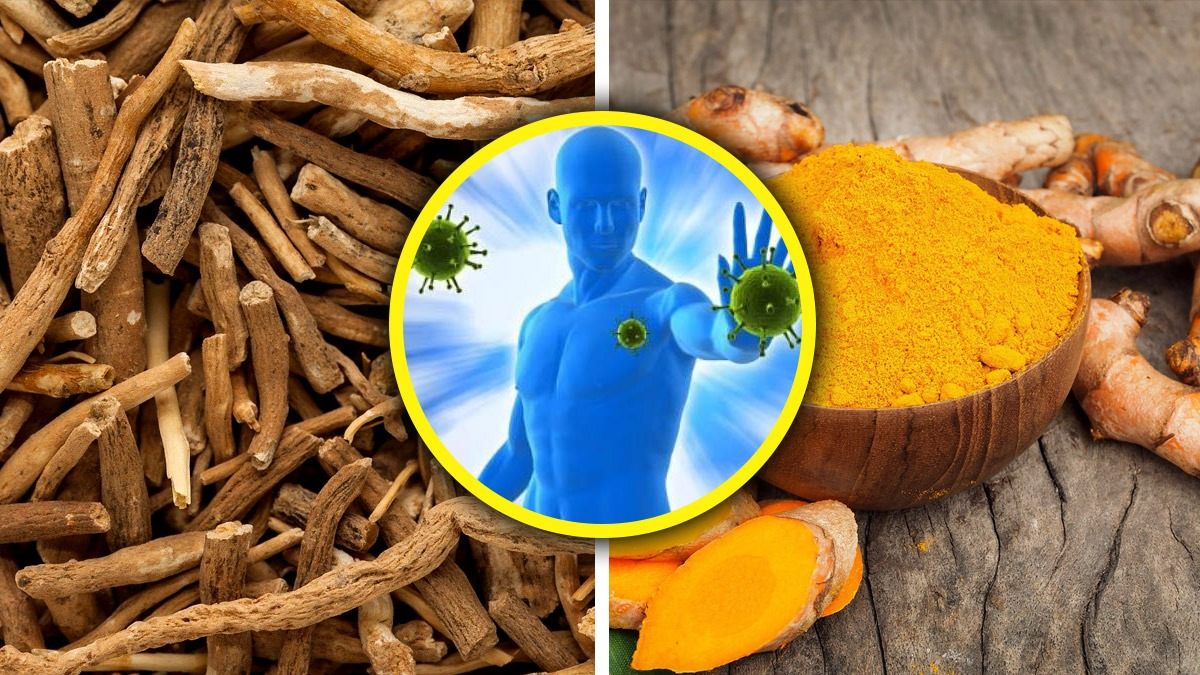 Herbs To Boost Immunity Herbs To Boost Immunity