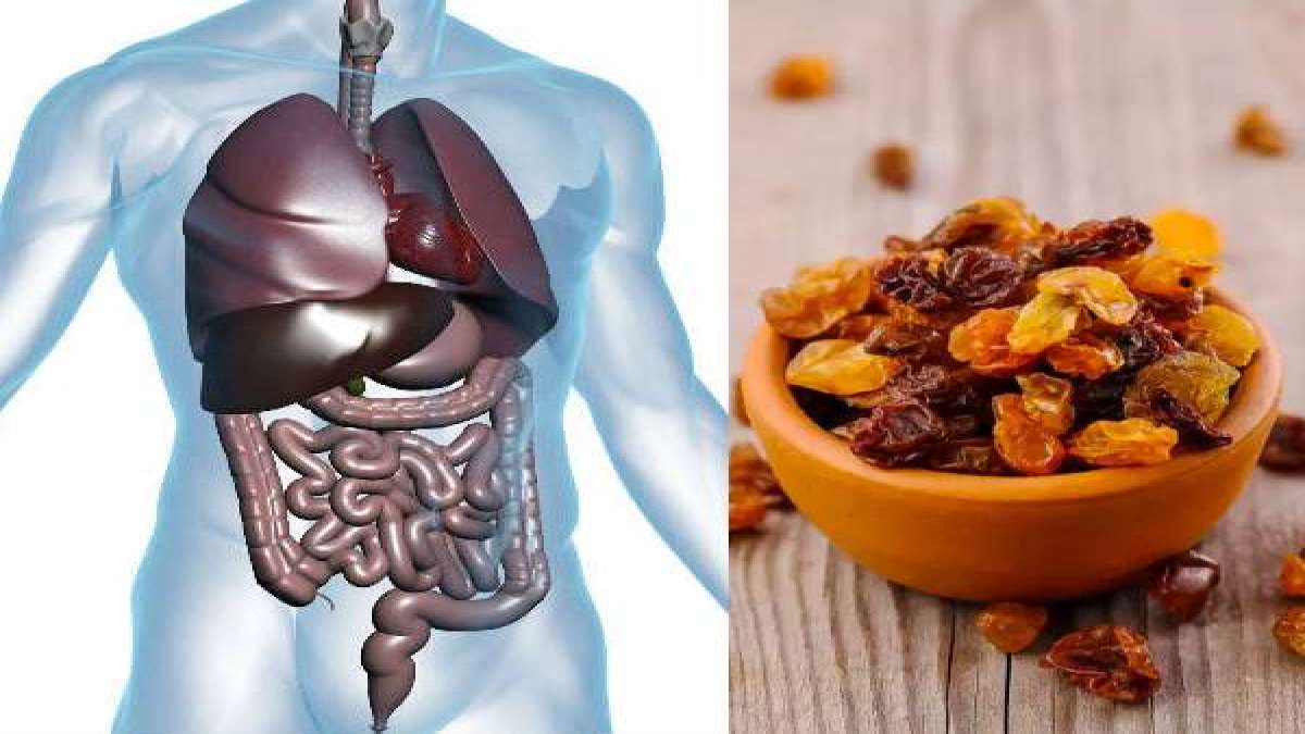 Benefits of Drinking Raisin Water Benefits of Drinking Raisin Water