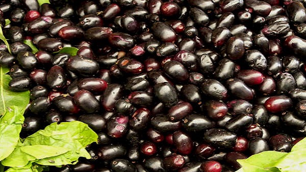 Health Benefits Of Eating Black Jamun