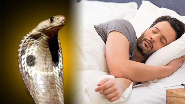 Shravan Dream Meaning Shravan Dream Meaning